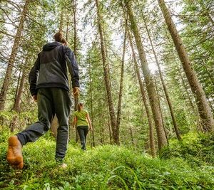 Forest Bathing in Alta Badia
